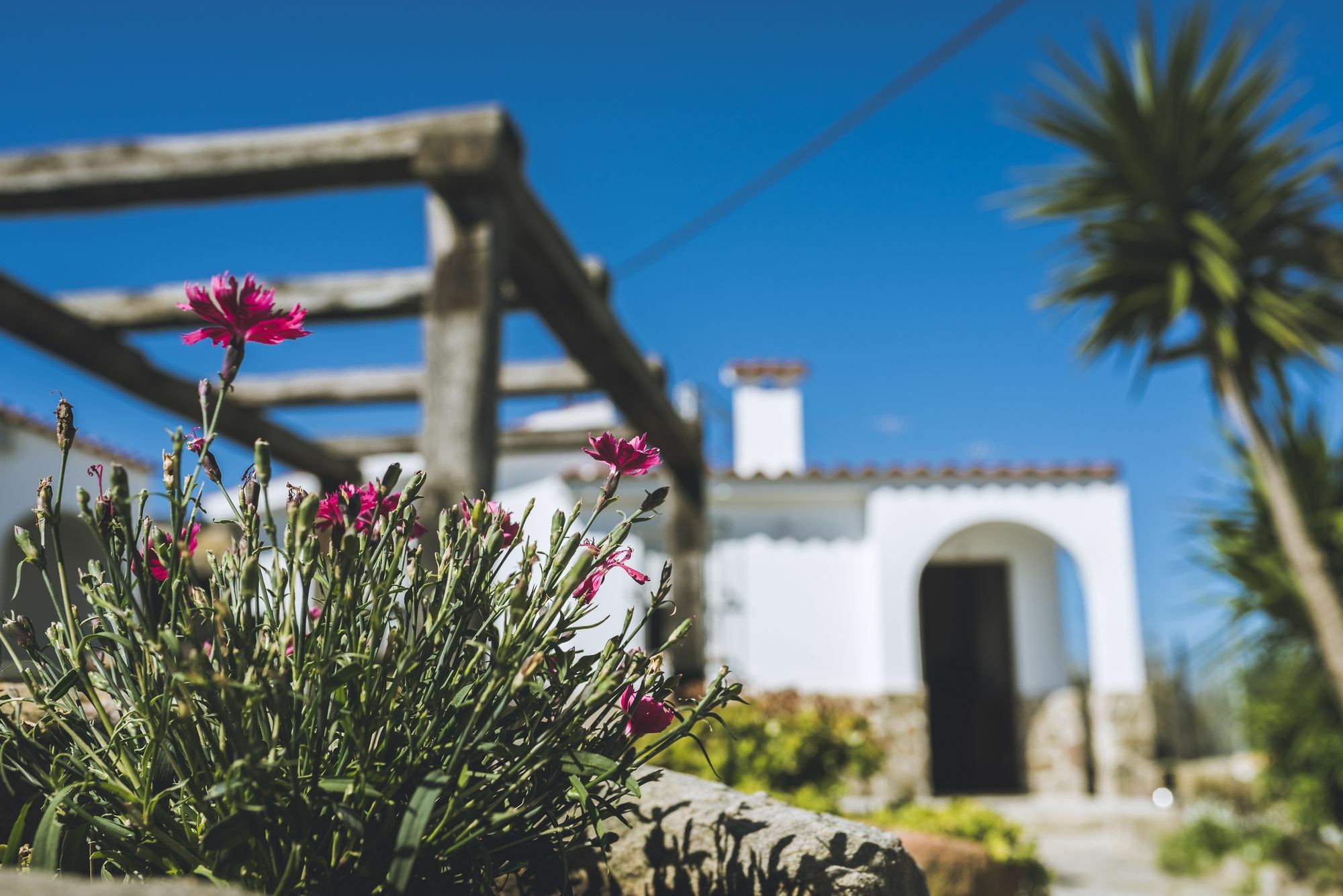 El Rancho Aparthotel Tarifa Eksteriør bilde